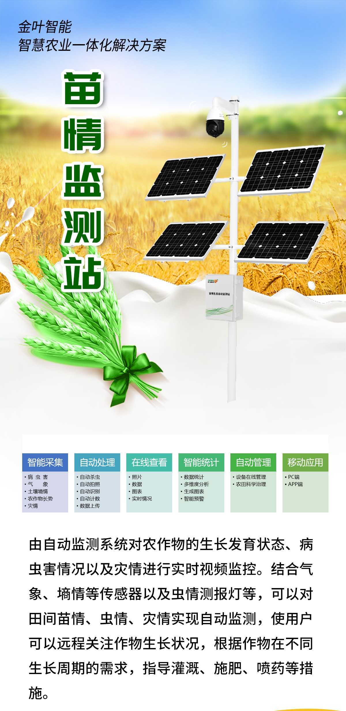 1741231078961168.jpg m_01.jpg