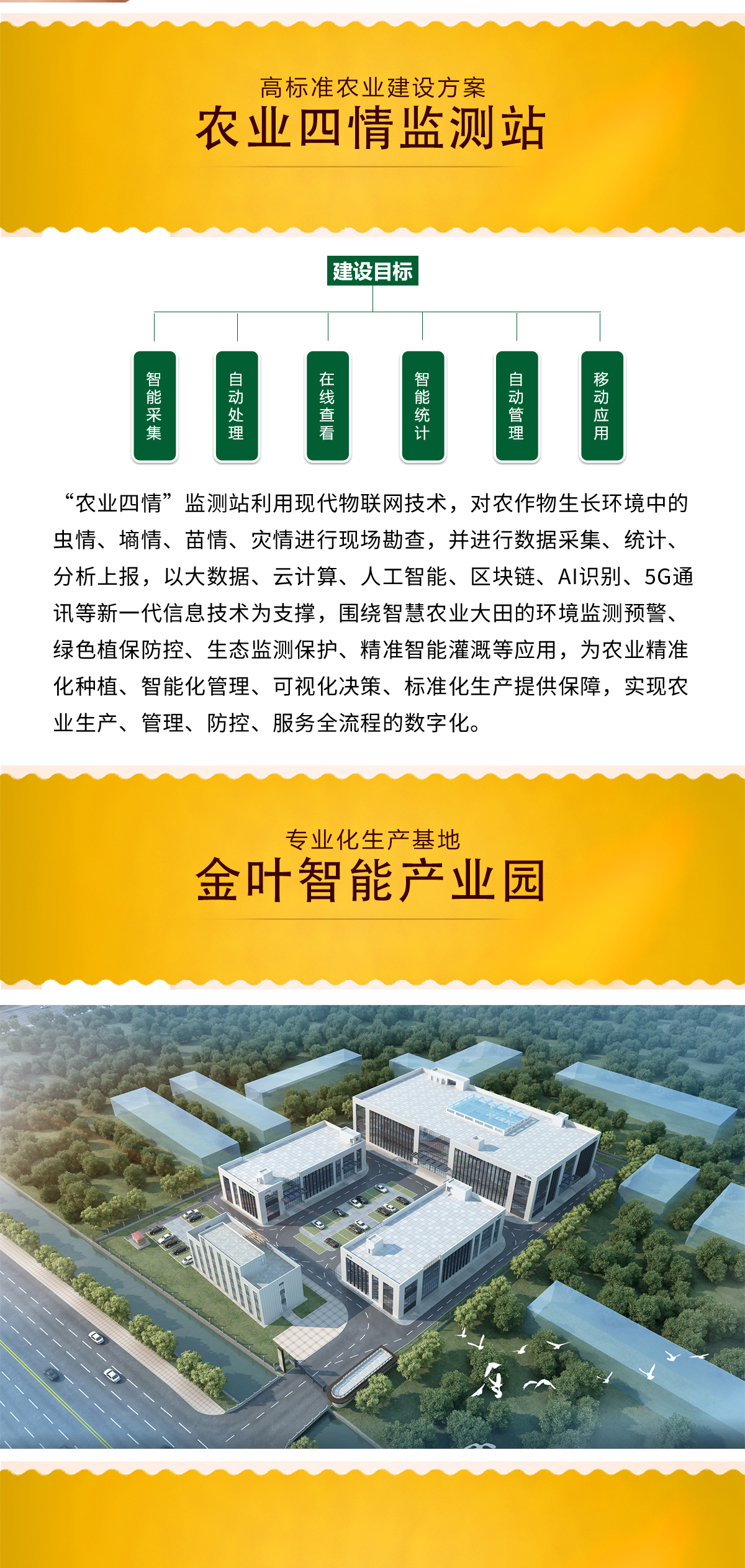 1743491272604393.jpg b_05.jpg