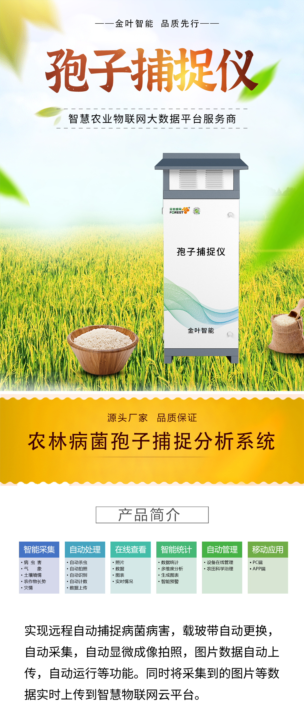 1758263851170424.jpg b_01.jpg